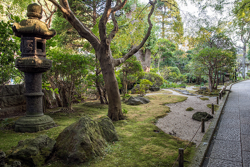 受付に向かう参道から庭園を望む