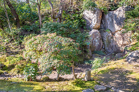 法金剛院