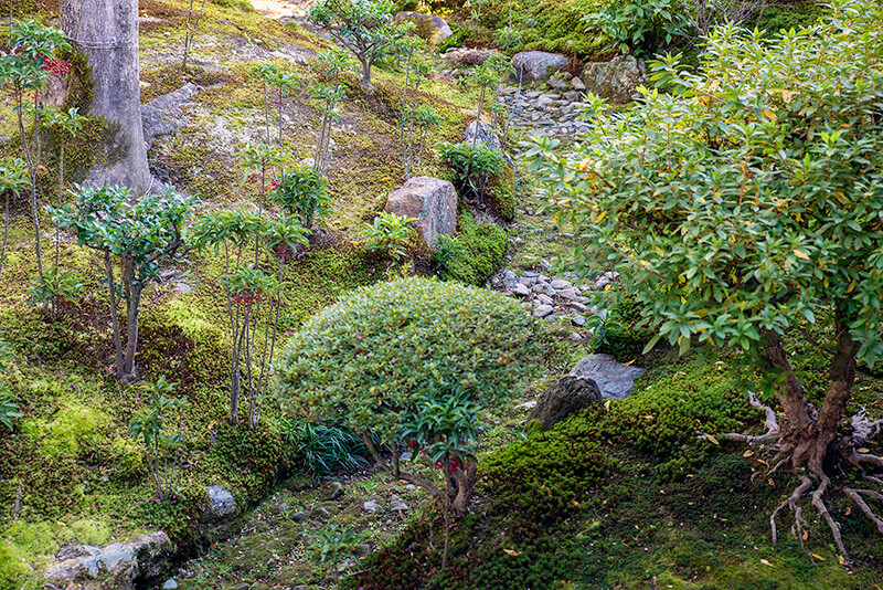 遣水の遺構