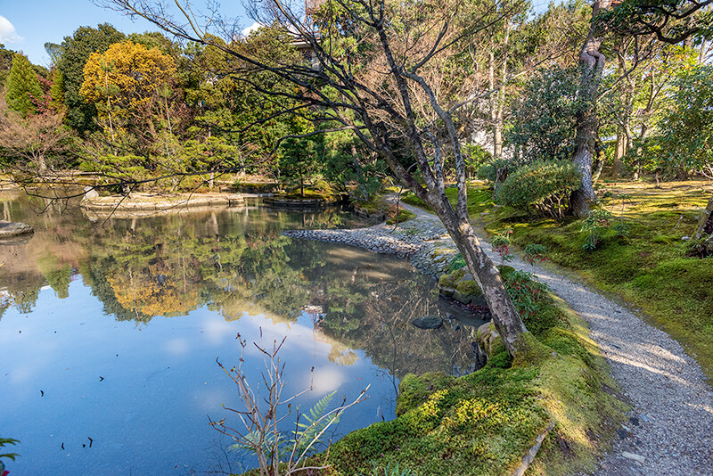 法金剛院庭園　苑路