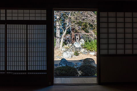 放光寺