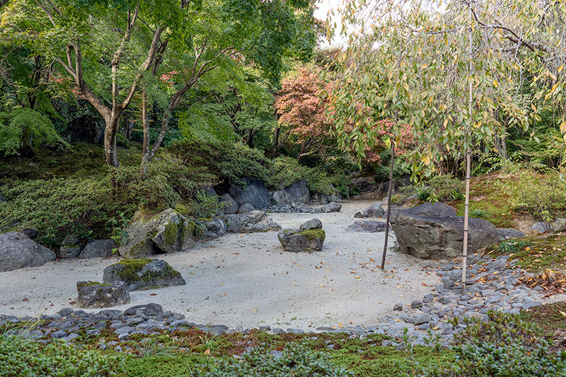 枯池