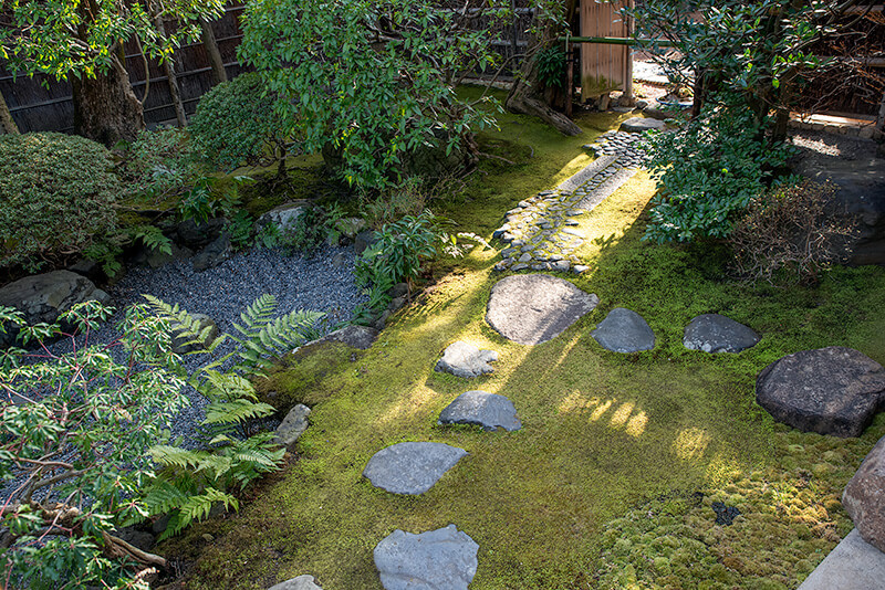 露地門からの木漏れ日