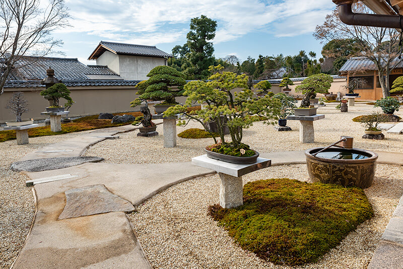 盆栽庭園