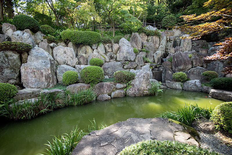 本堂南西部　池泉庭園