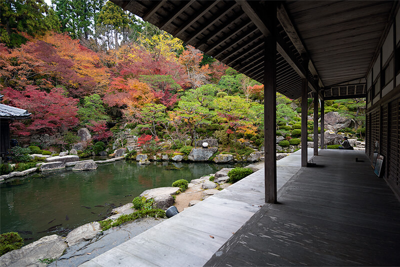 喜見院の庭園