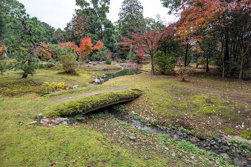 土橋