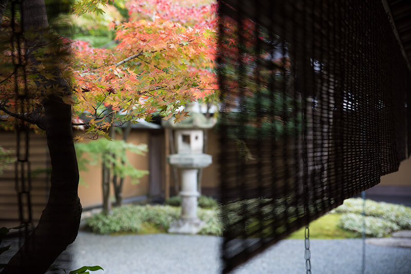 すだれの隙間から紅葉を眺める