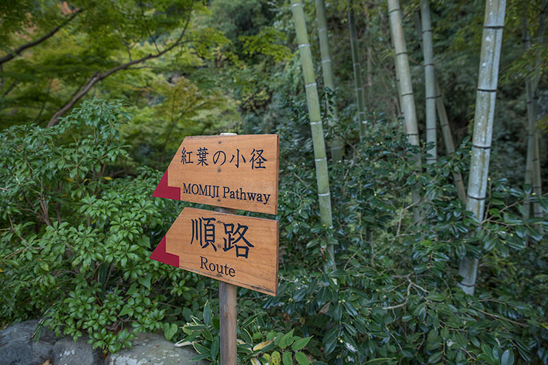紅葉の小径看板