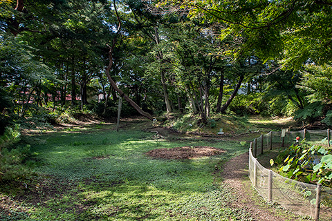 一ノ倉邸　保護庭園