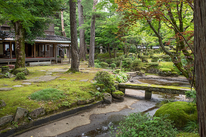 茶室から池泉を眺める