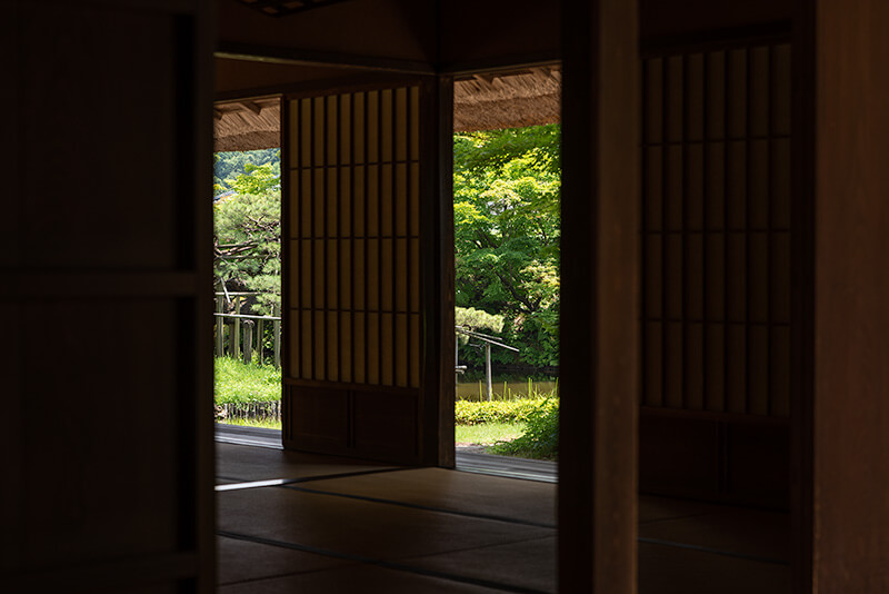 僅かな隙間から庭園を望む