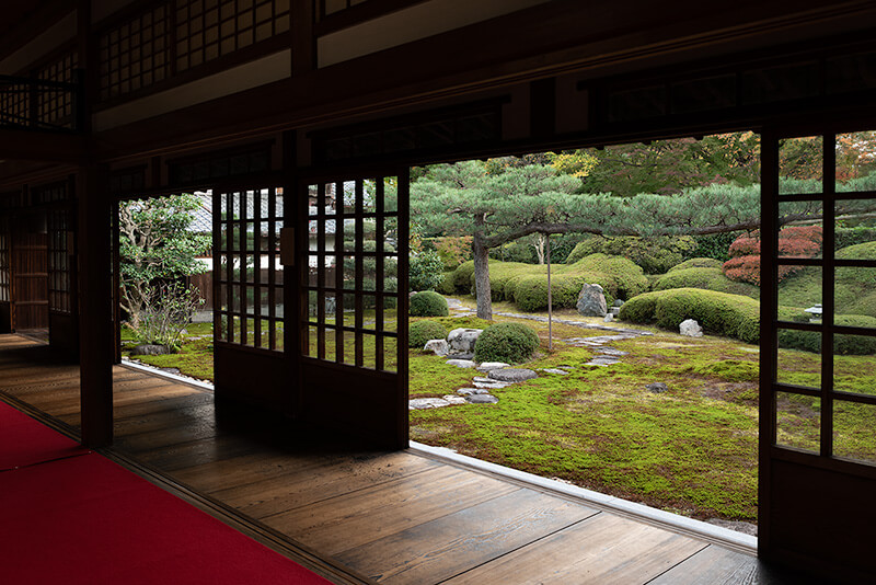 南庭「依稀松の庭」　額縁庭園