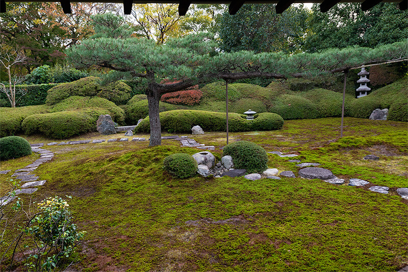 一華院「依稀松の庭」