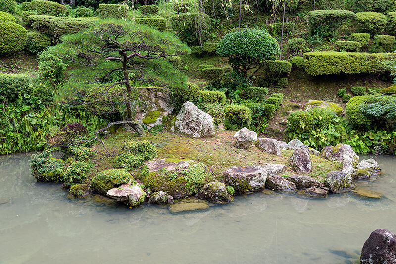 医光寺の亀島
