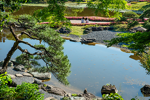 皇居東御苑 二の丸庭園