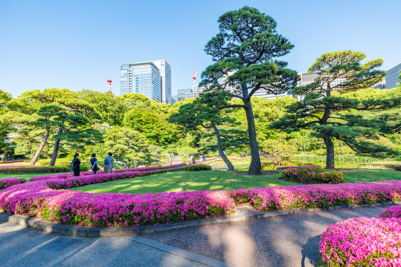 皇居東御苑　二の丸庭園