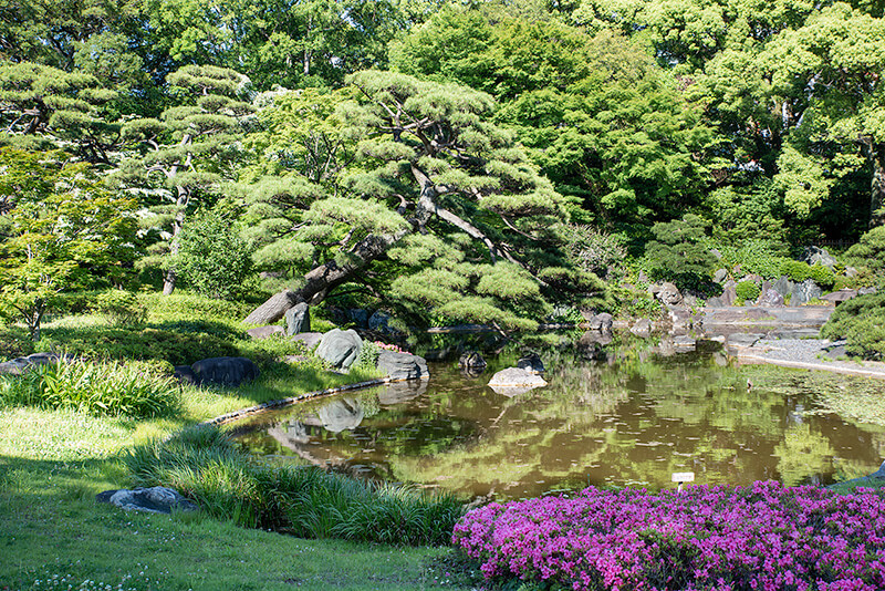 池泉西部の北側から撮影