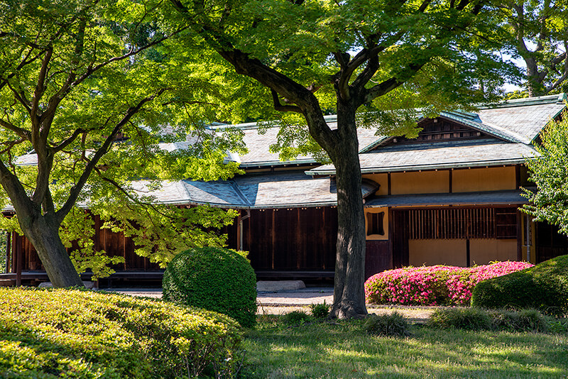 諏訪の茶屋