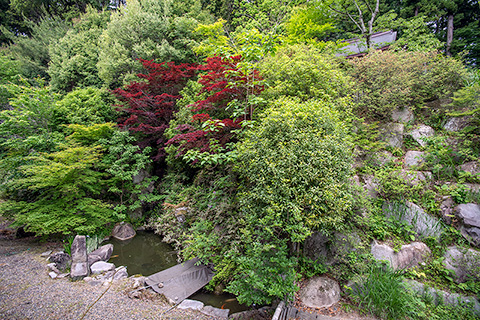 西念寺（稲田御坊）