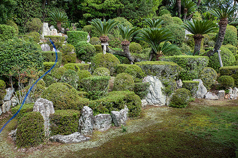 医王寺（醫王寺）