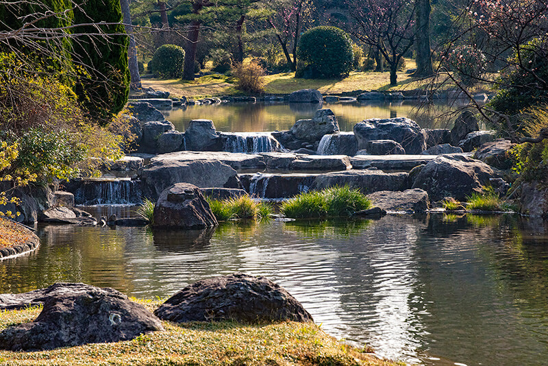 圧縮撮影