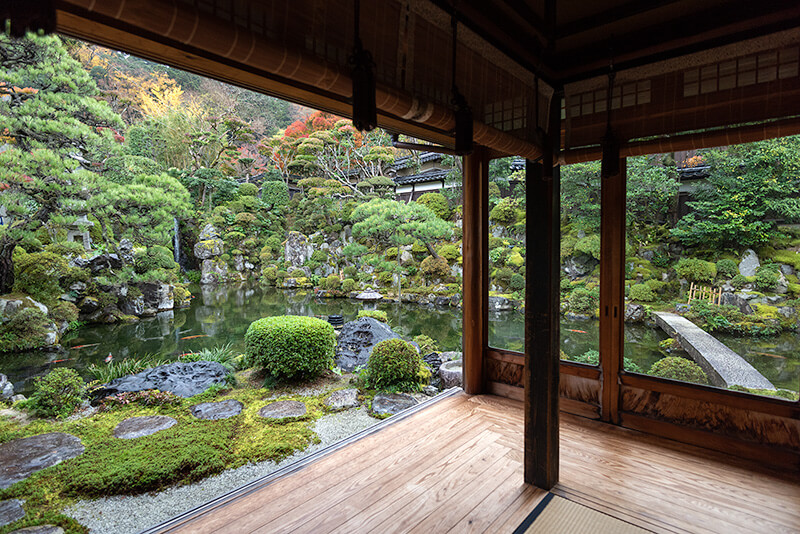江戸座敷より池泉庭園