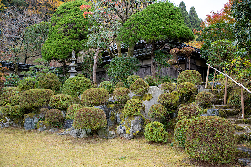 石谷氏庭園　芝生庭園