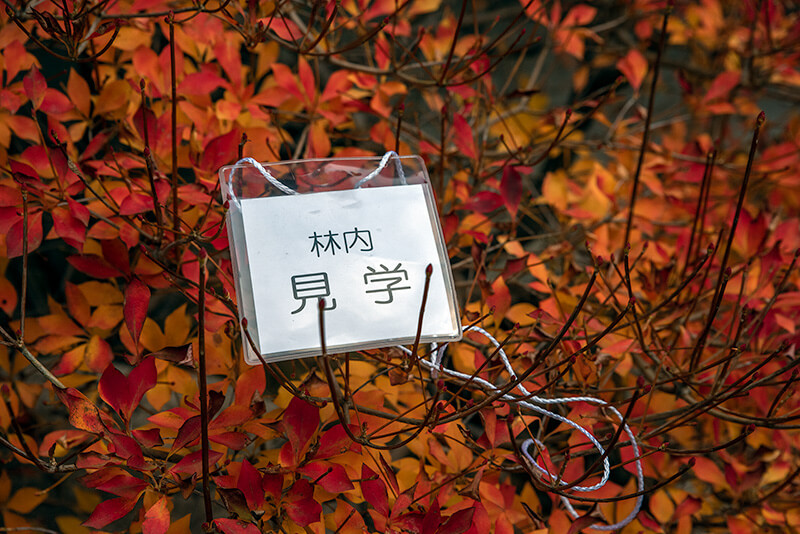 見学札
