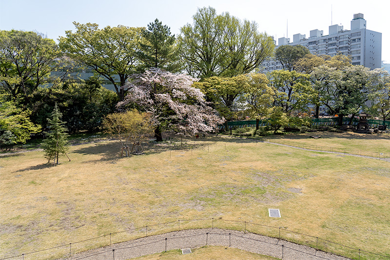芝庭