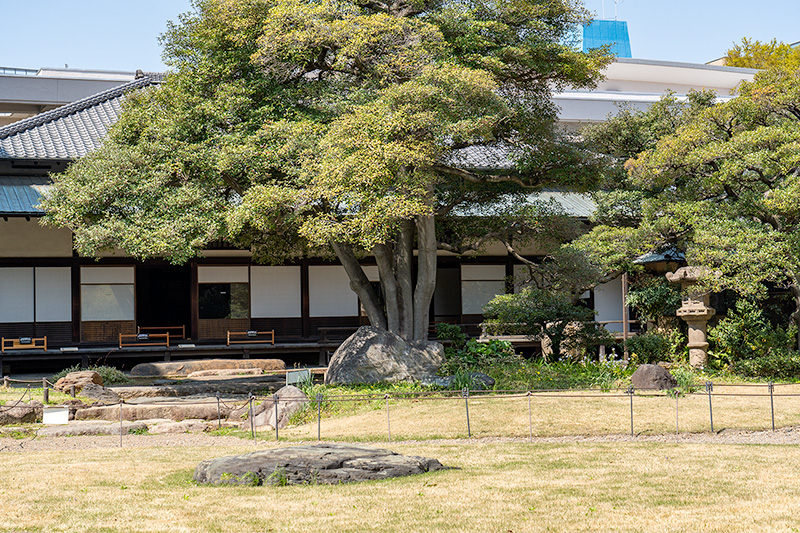 芝庭から和館を望む