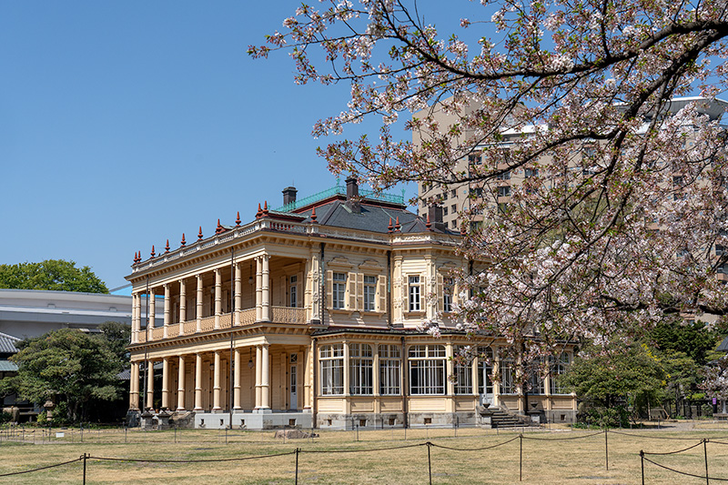 桜と洋館