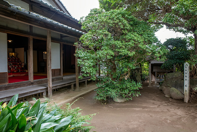 竹添邸　庭