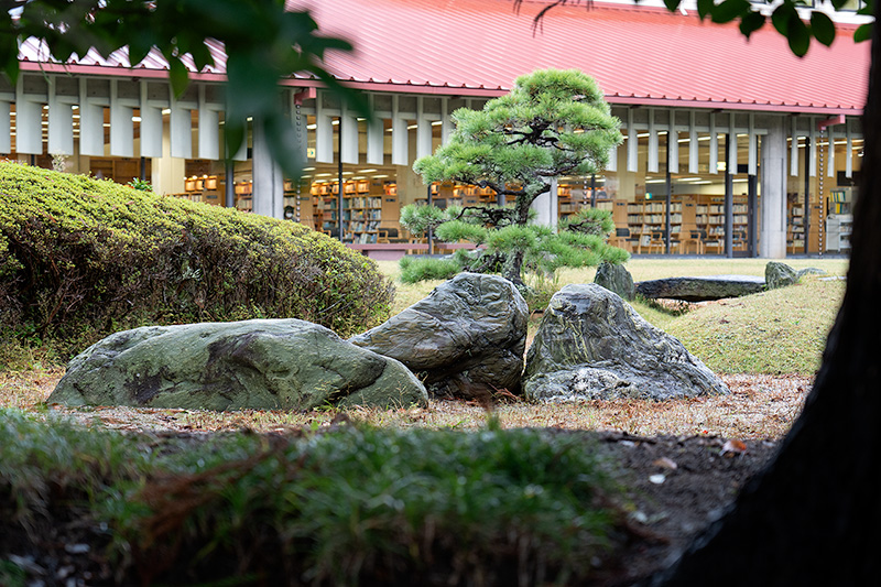岩肌が艶やか