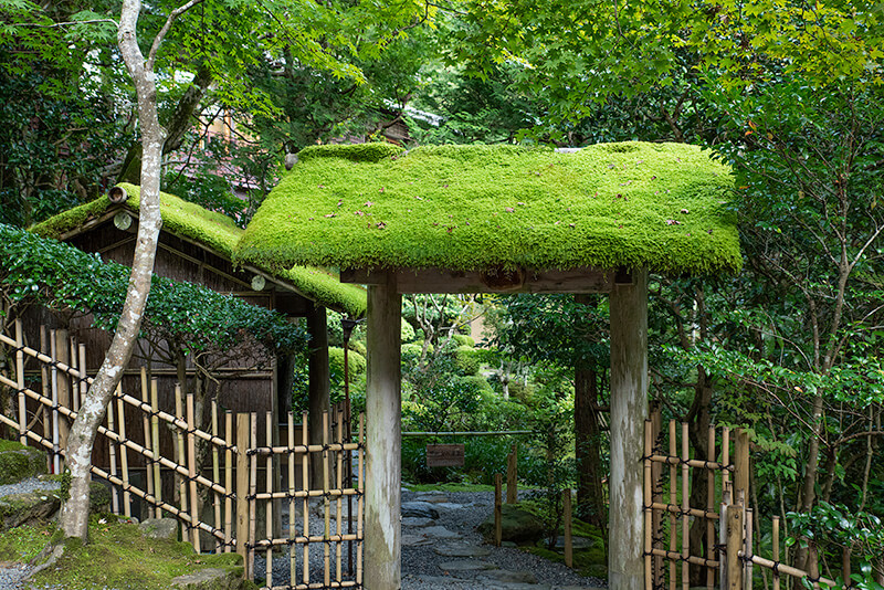 露地門
