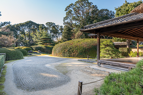 慈光院庭園