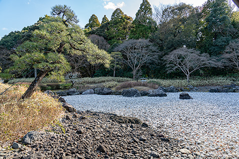 神宮美術館庭園