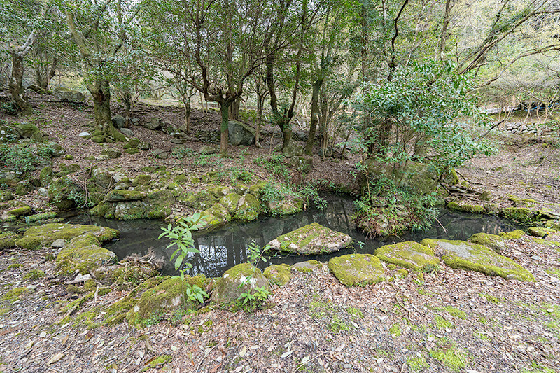 池泉回遊式庭