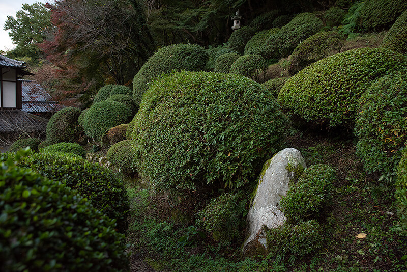蓬莱山