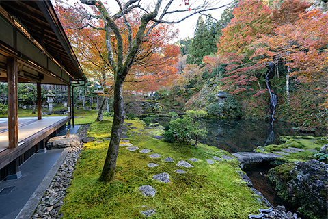 慈恩禅寺 荎草園
