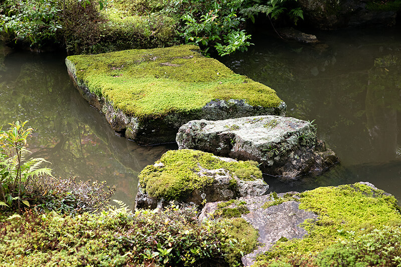 沢飛石