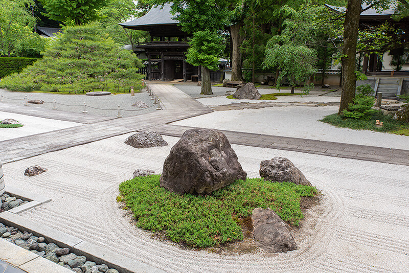 天桂松（てんけいまつ）