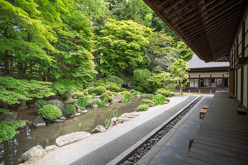 本堂裏の池泉庭園