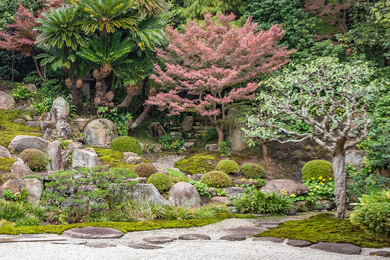 浄土寺庭園