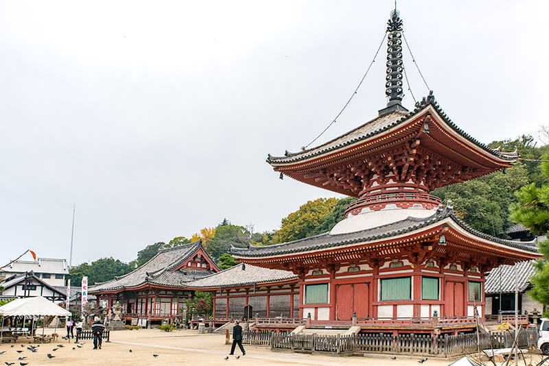 多宝塔と本堂