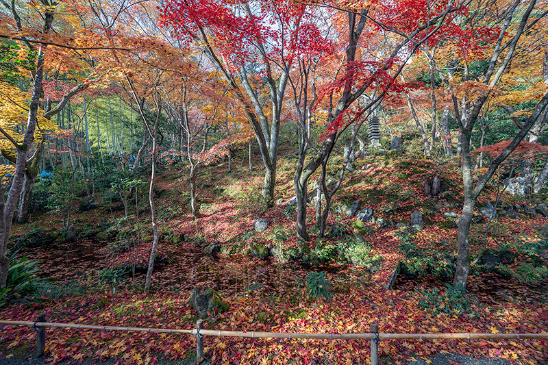池泉観賞式庭園
