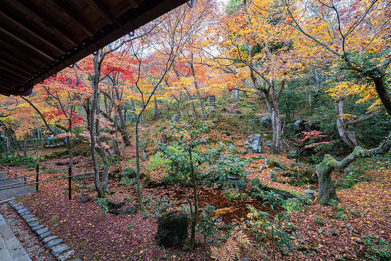本堂からの池泉観賞式庭園