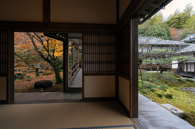 左手が池泉観賞式庭園、左手が中庭