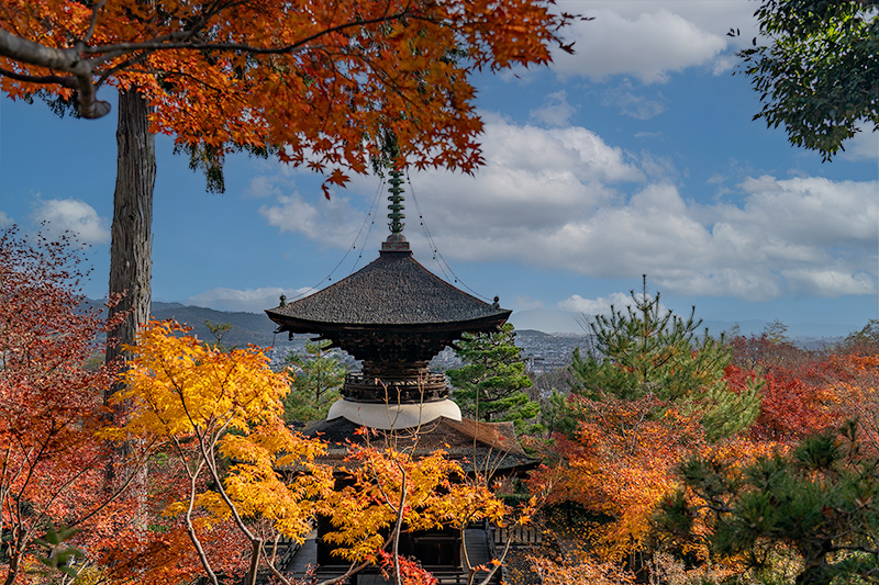 多宝塔越しに京都市を眺める
