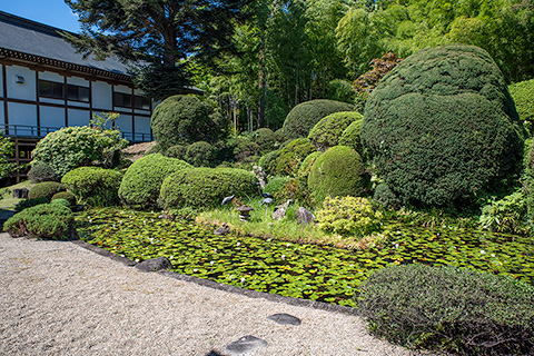 浄光寺